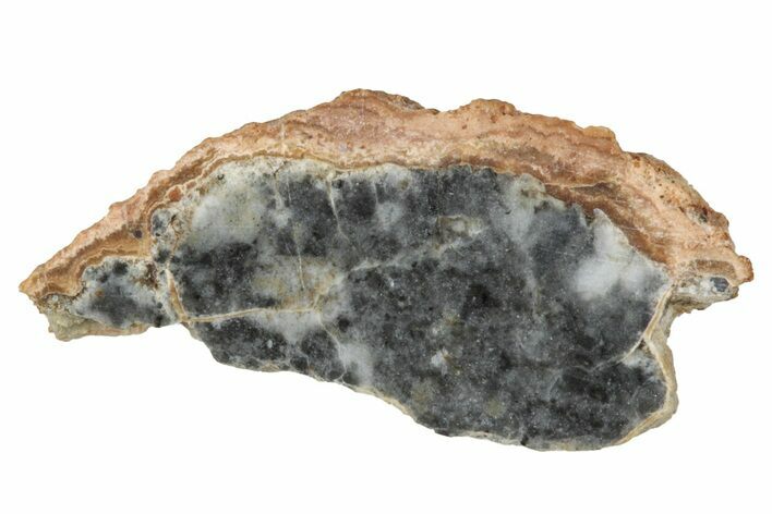 Lunar Meteorite ( g) Slice - Bechar #348229